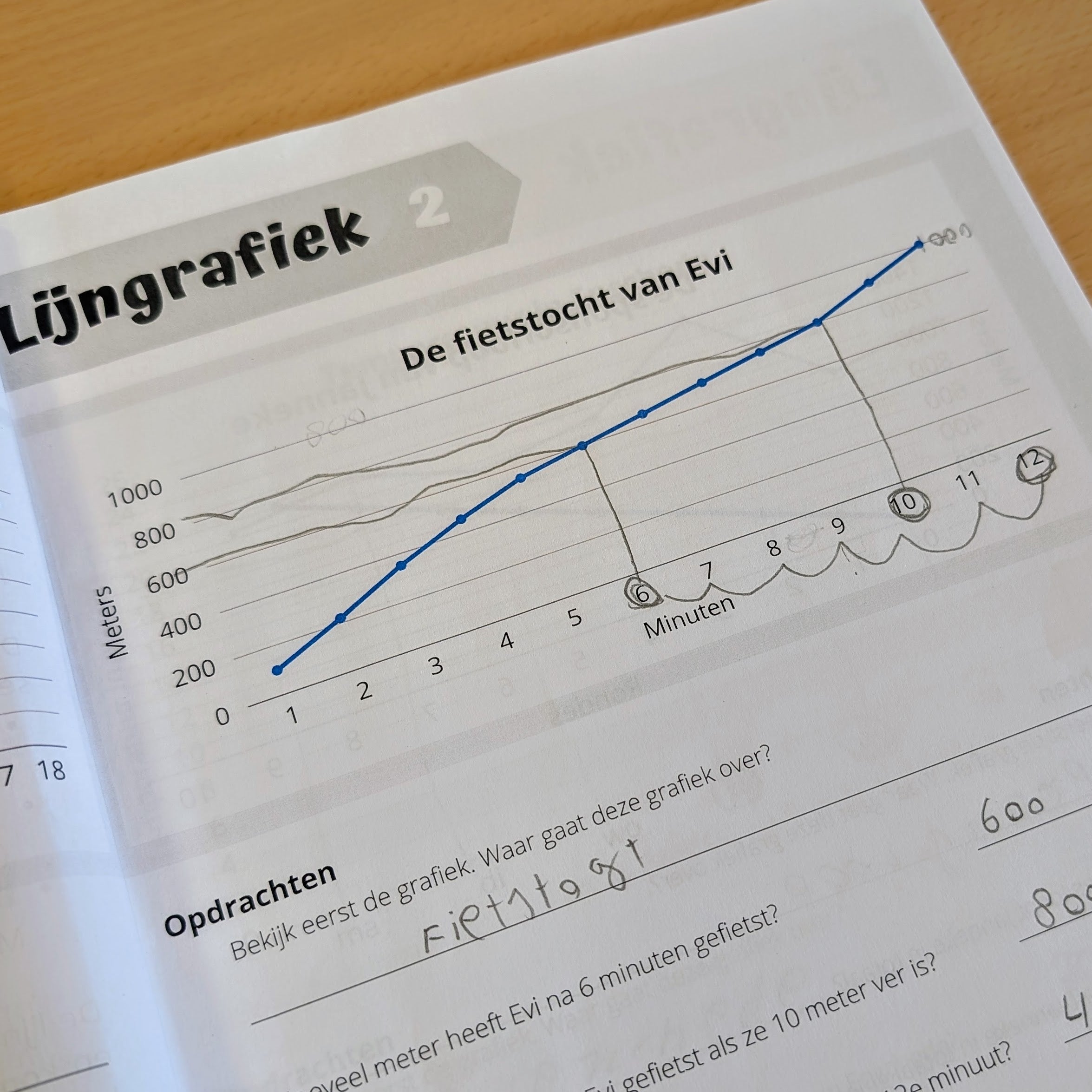 Werkboek - Grafieken